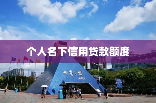 个人名下信用贷款额度