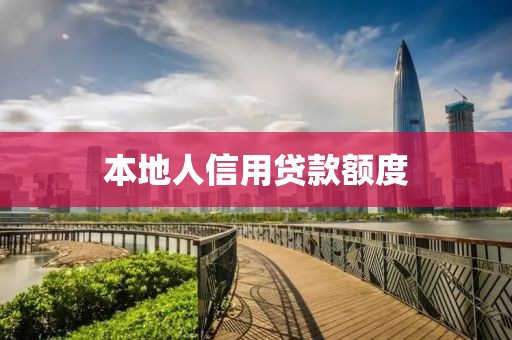 本地人信用贷款额度