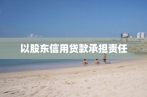 以股东信用贷款承担责任