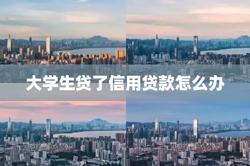 大学生贷了信用贷款怎么办