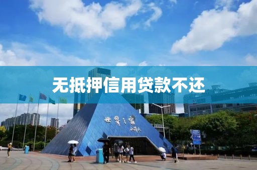 无抵押信用贷款不还