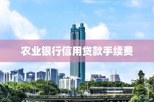 农业银行信用贷款手续费