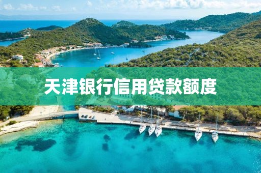 天津银行信用贷款额度