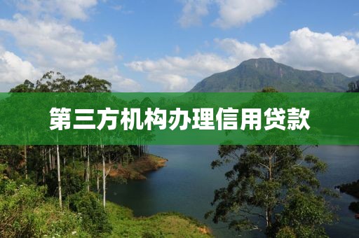 第三方机构办理信用贷款