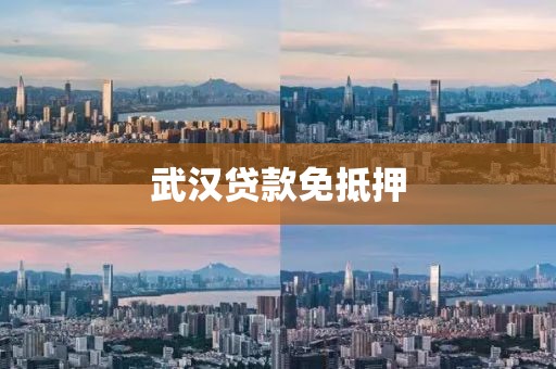 武汉贷款免抵押