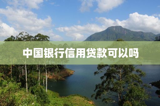 中国银行信用贷款可以吗