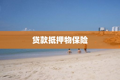 贷款抵押物保险