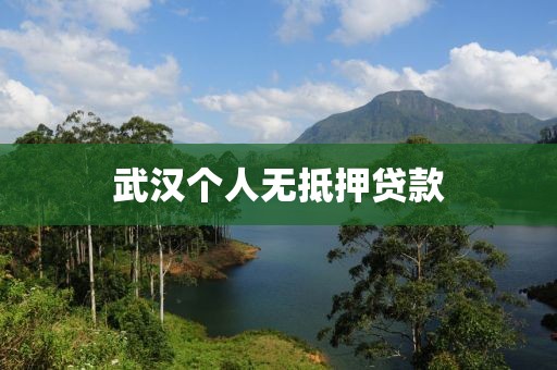 武汉个人无抵押贷款