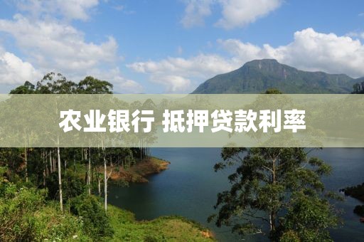 农业银行 抵押贷款利率