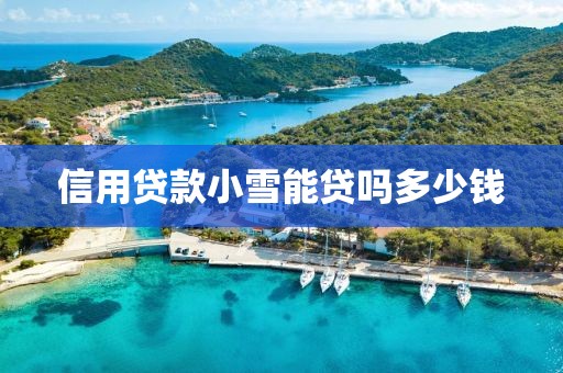 信用贷款小雪能贷吗多少钱
