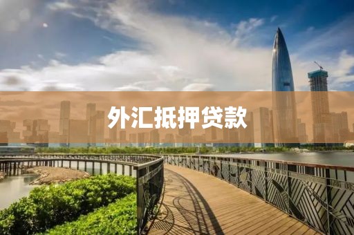外汇抵押贷款
