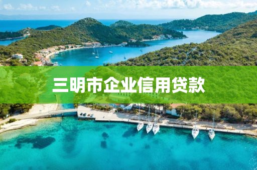 三明市企业信用贷款