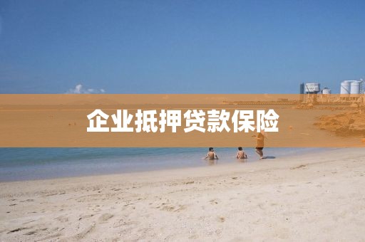 企业抵押贷款保险