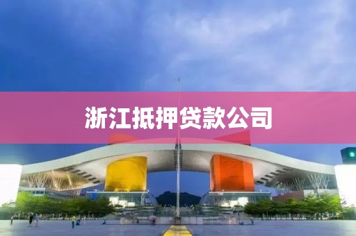 浙江抵押贷款公司