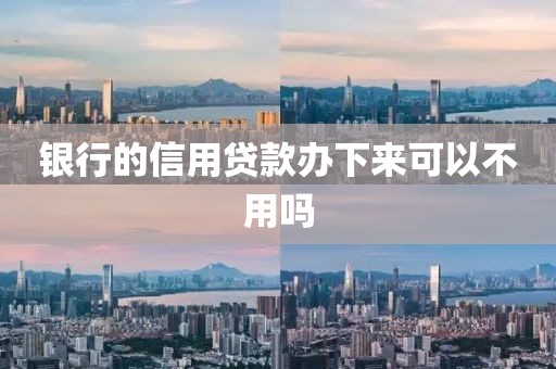 银行的信用贷款办下来可以不用吗