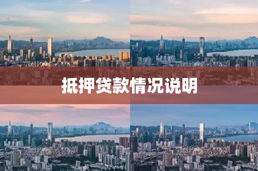抵押贷款情况说明