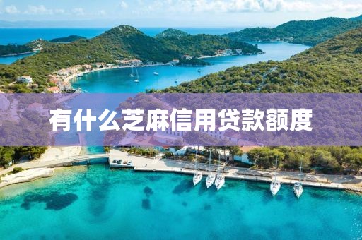 有什么芝麻信用贷款额度
