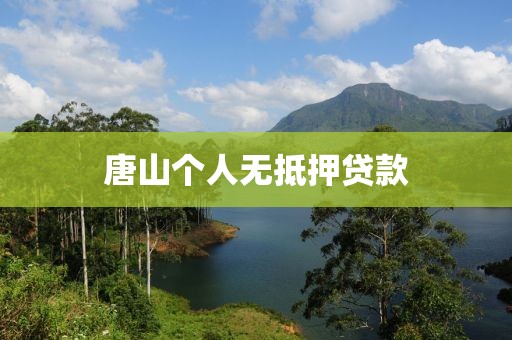 唐山个人无抵押贷款