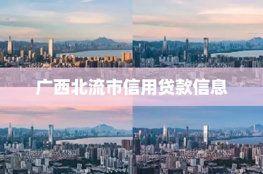 广西北流市信用贷款信息