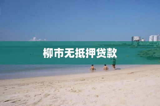 柳市无抵押贷款