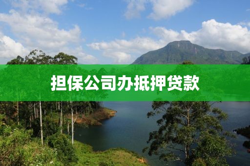 担保公司办抵押贷款