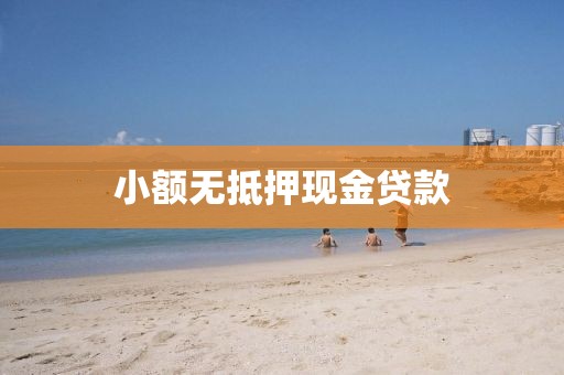 小额无抵押现金贷款