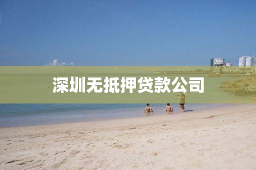 深圳无抵押贷款公司