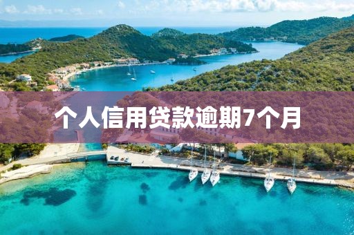 个人信用贷款逾期7个月