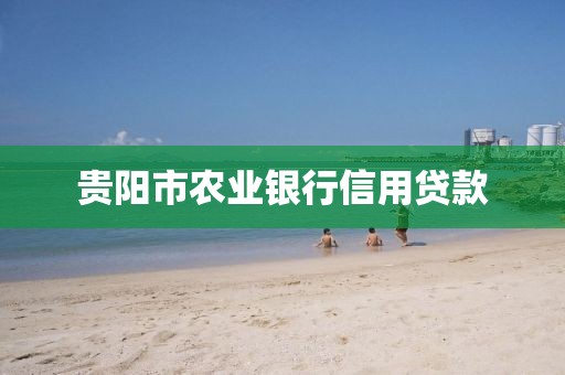 贵阳市农业银行信用贷款