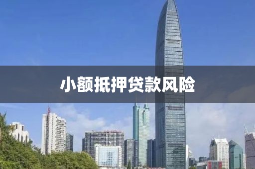 小额抵押贷款风险