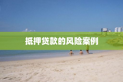 抵押贷款的风险案例