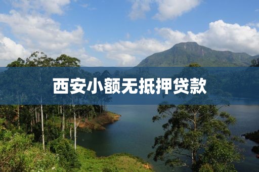 西安小额无抵押贷款