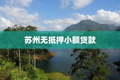苏州无抵押小额贷款