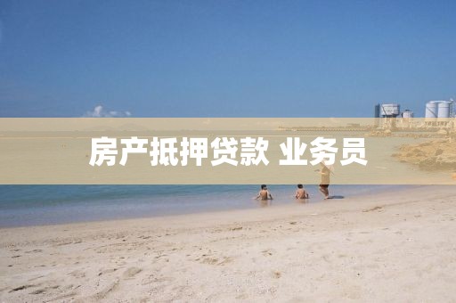 房产抵押贷款 业务员