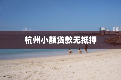 杭州小额贷款无抵押