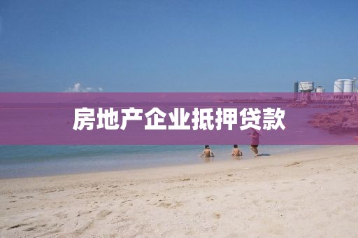 房地产企业抵押贷款
