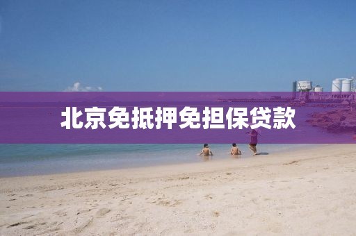 北京免抵押免担保贷款