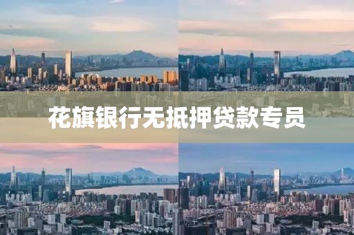 花旗银行无抵押贷款专员
