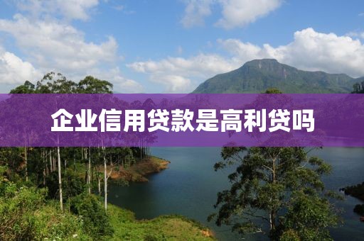 企业信用贷款是高利贷吗
