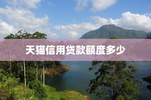 天猫信用贷款额度多少