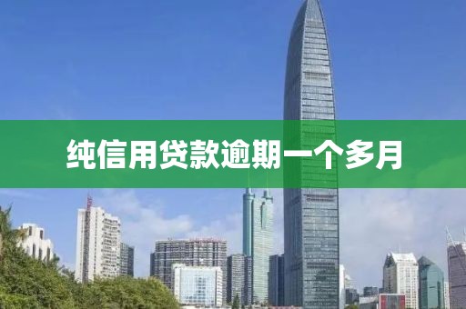 纯信用贷款逾期一个多月