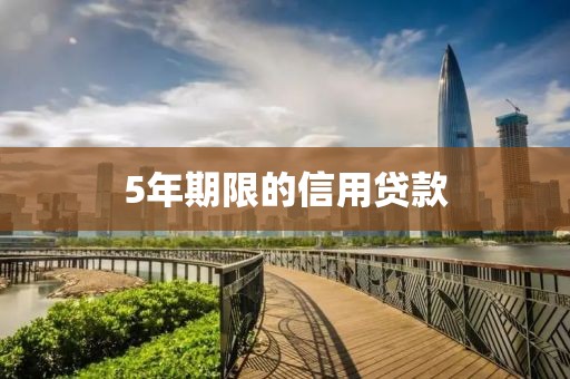 5年期限的信用贷款