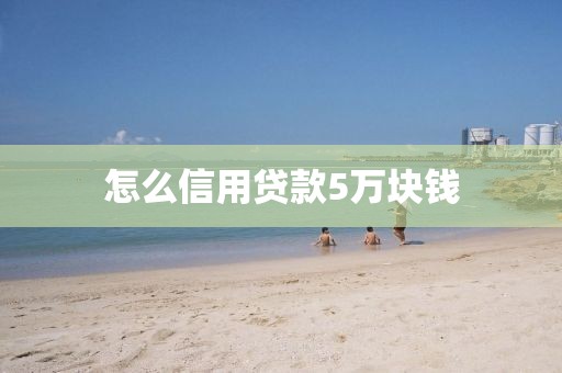 怎么信用贷款5万块钱