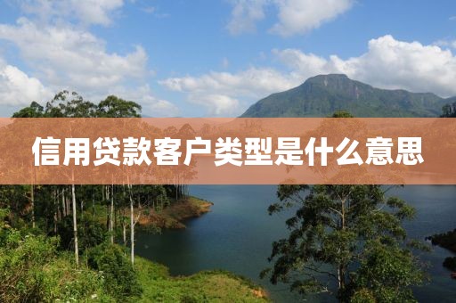 信用贷款客户类型是什么意思