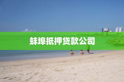 蚌埠抵押贷款公司