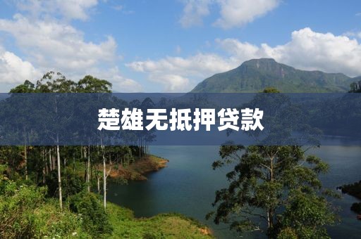 楚雄无抵押贷款