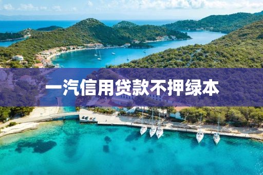一汽信用贷款不押绿本