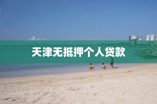天津无抵押个人贷款