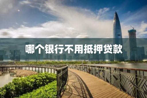 哪个银行不用抵押贷款