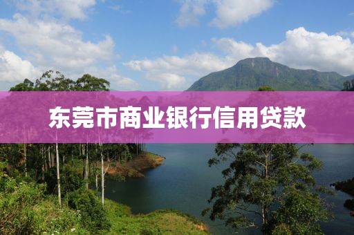 东莞市商业银行信用贷款